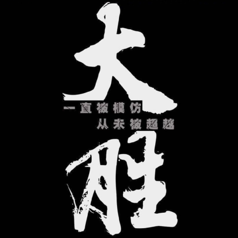 DSVIDEO